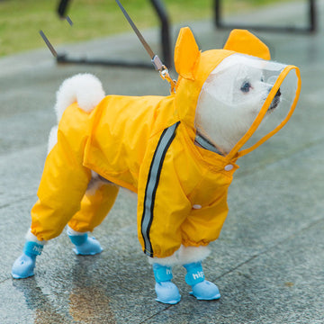 Adventure Gear