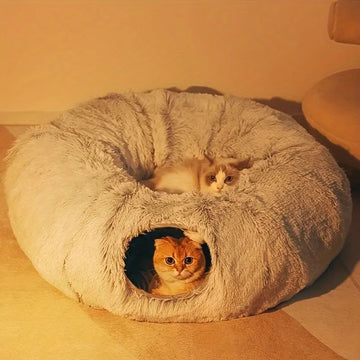 Pet Beds & Comfort