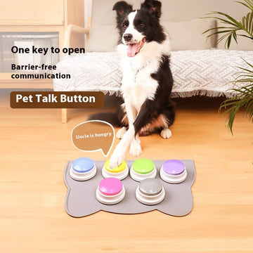Pet Toys & Training
