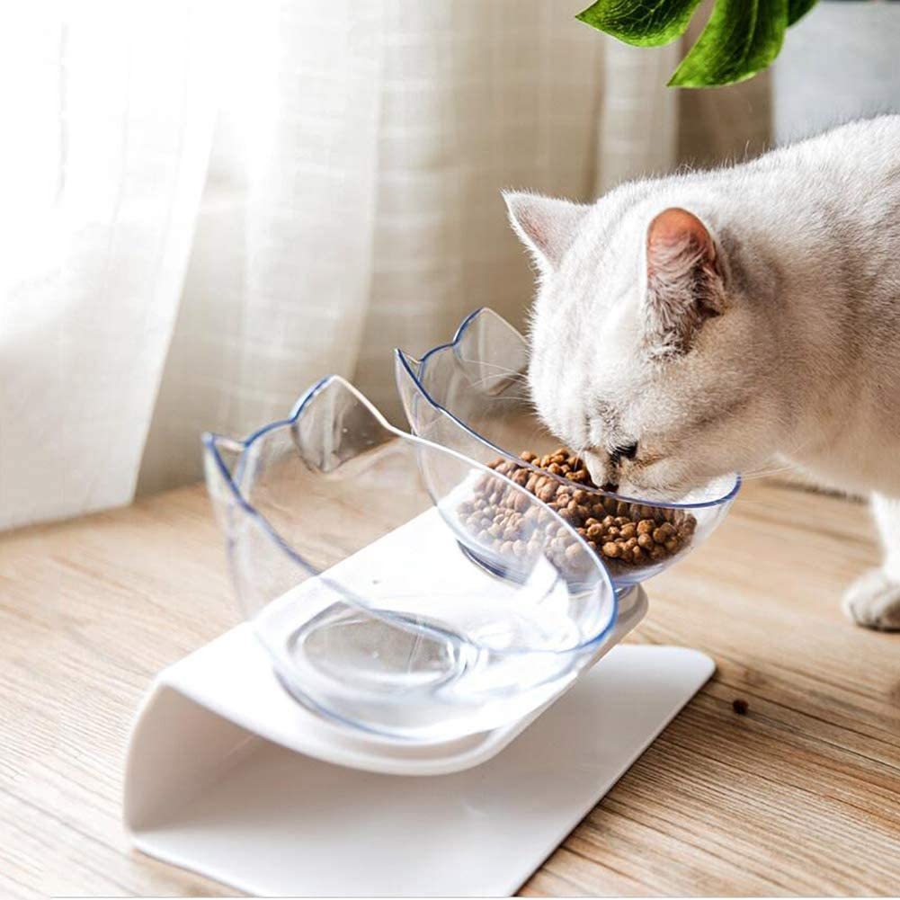 Feeding & Bowls
