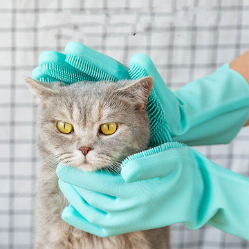 Grooming & Hygiene