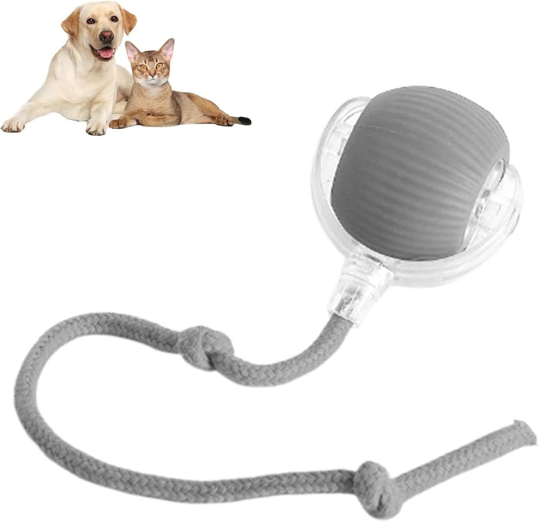 Interactive Rolling Pet Ball