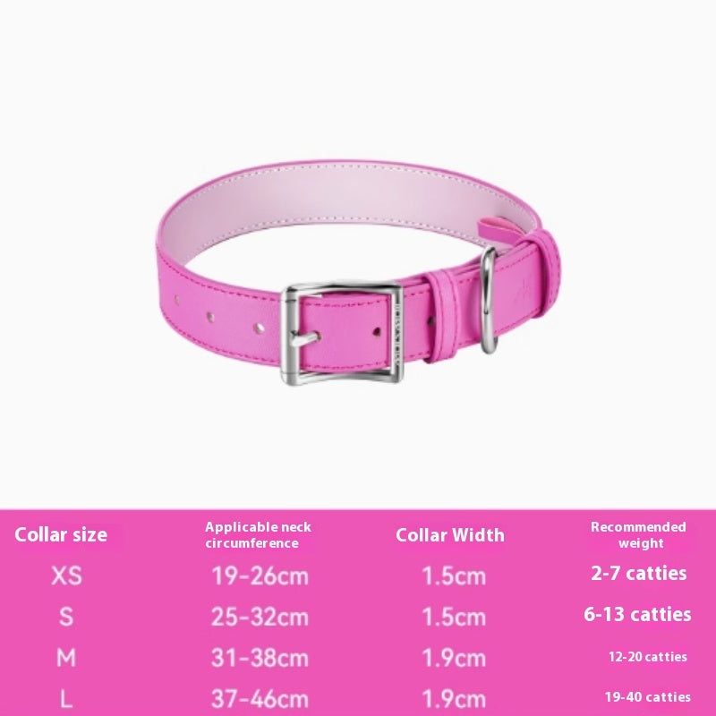 Colorful Leather Pet Collar